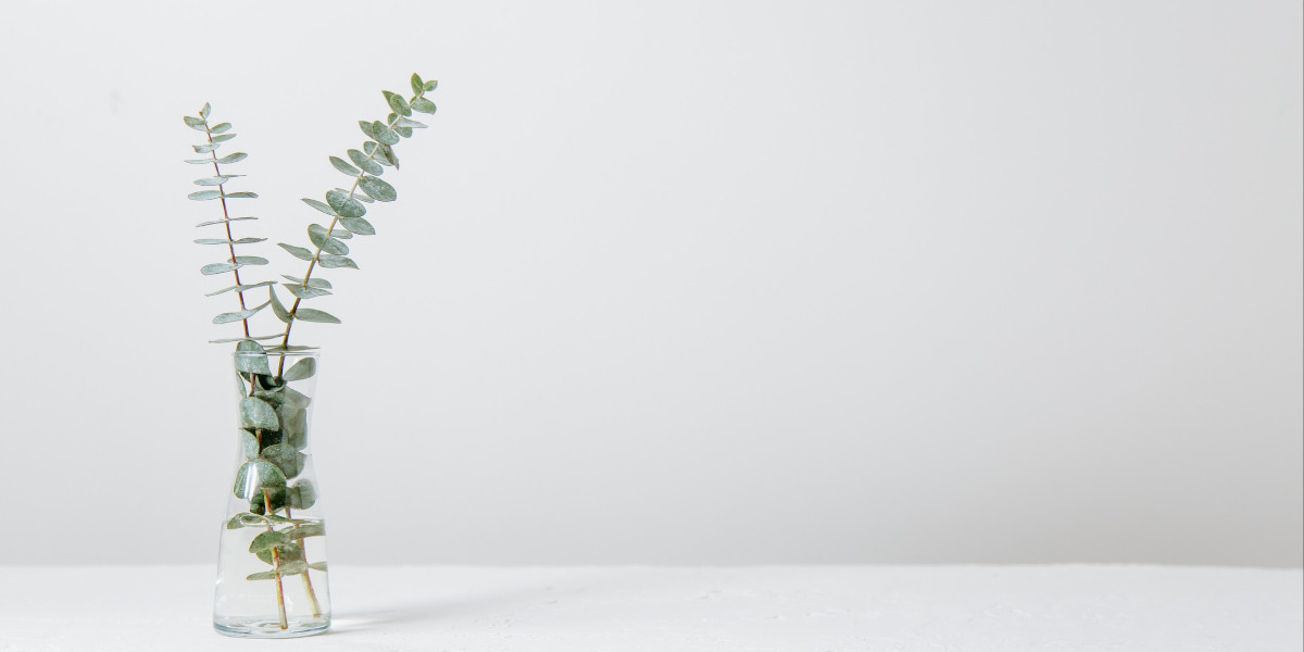 A plant in a vase