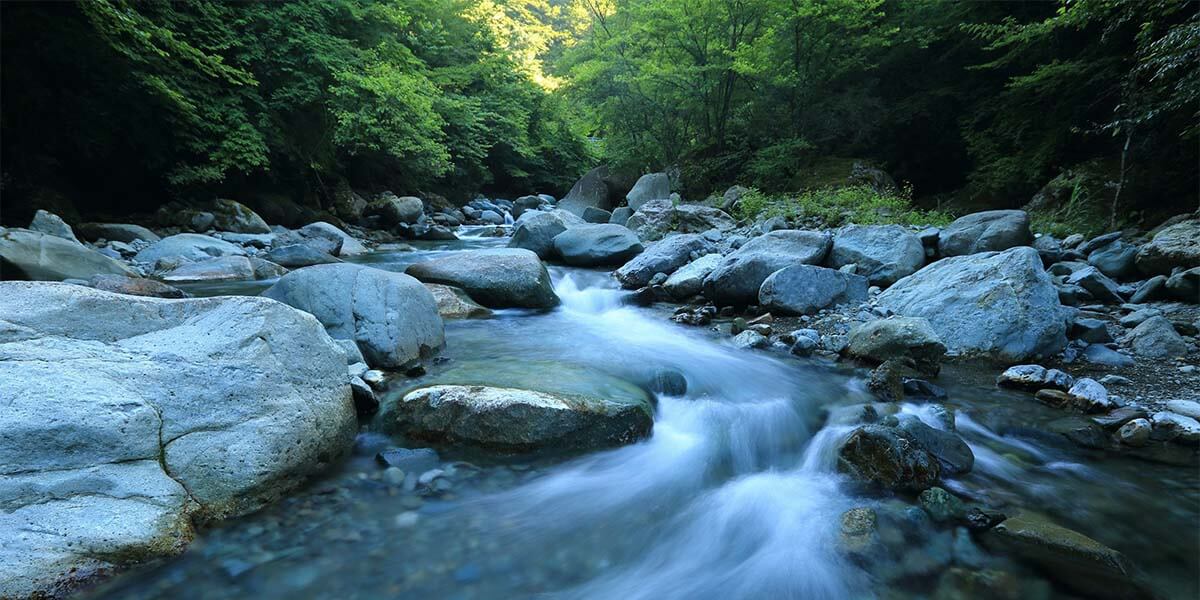 A serene stream