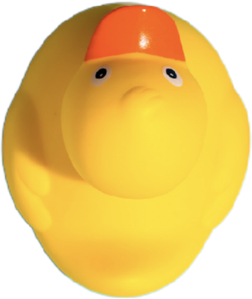 img-duck_up